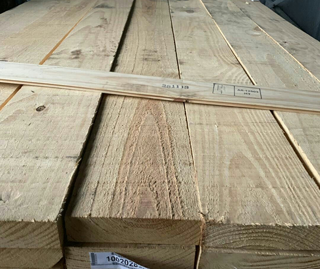 安溪阿根廷松木